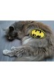 Patch "Cats are not what they seem"